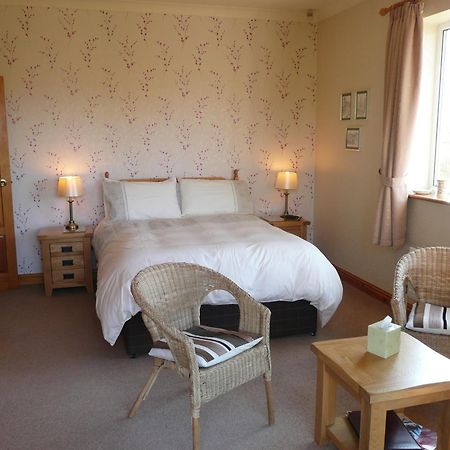 Llanfachreth Heulwen Guest House מראה חיצוני תמונה