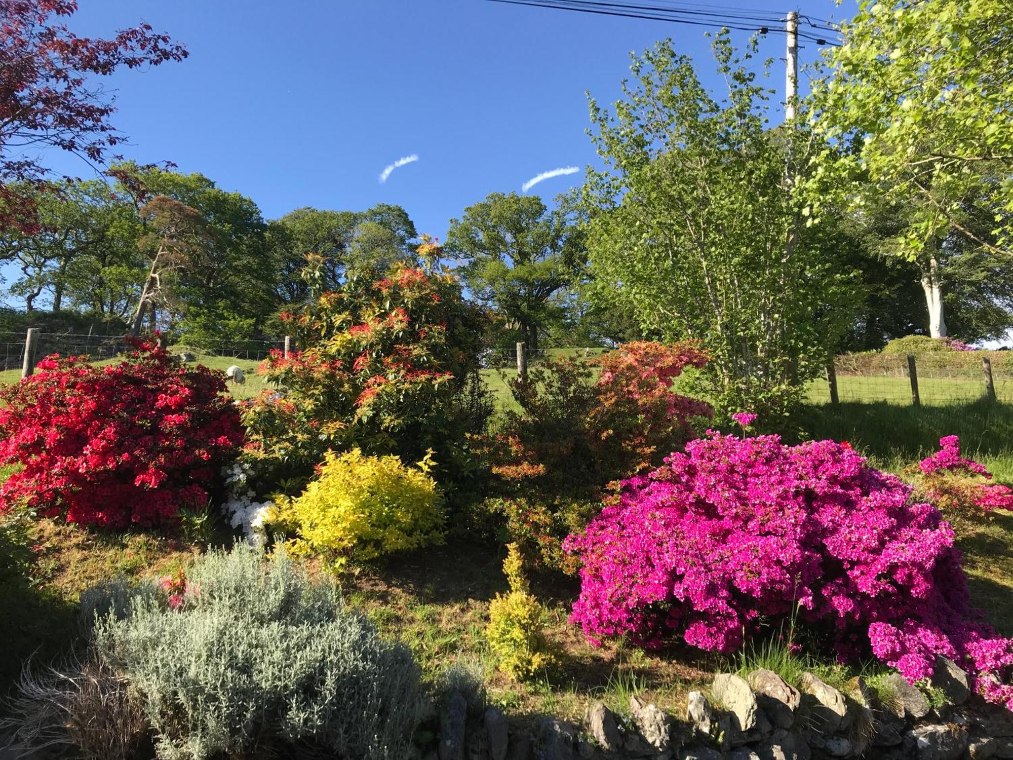 Llanfachreth Heulwen Guest House מראה חיצוני תמונה