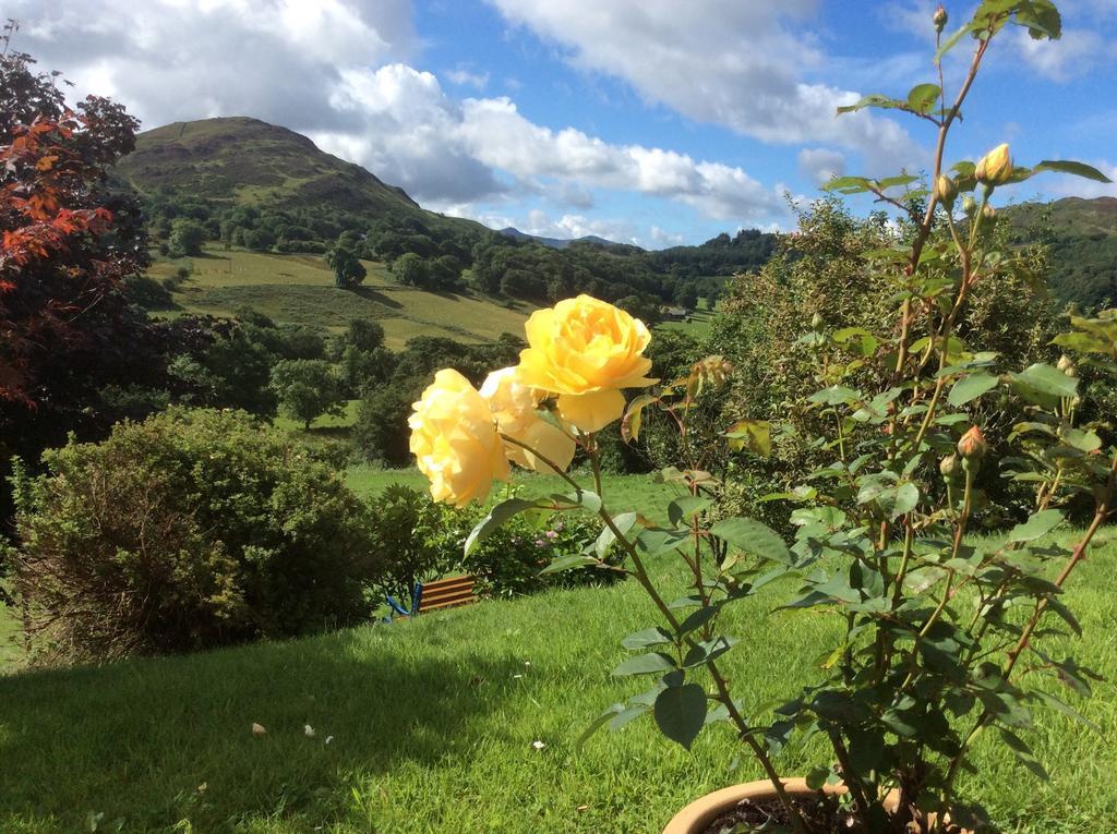 Llanfachreth Heulwen Guest House מראה חיצוני תמונה