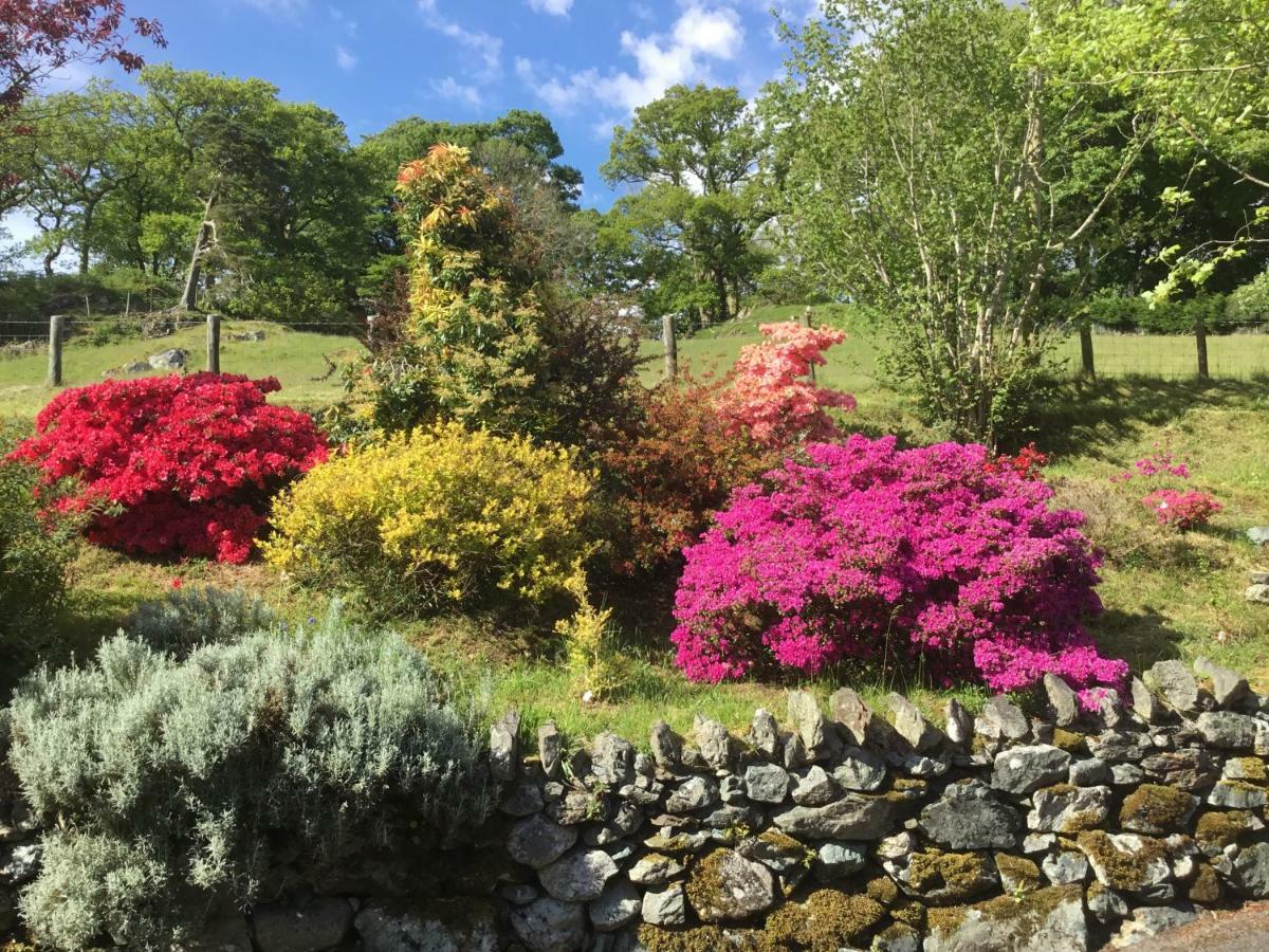 Llanfachreth Heulwen Guest House מראה חיצוני תמונה